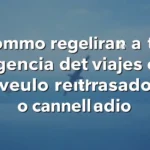 Cómo reclamar a tu agencia de viajes por vuelo retrasado o cancelado