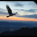 Impacto de las huelgas en tu reclamación de vuelo